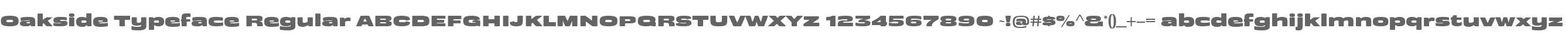 Oakside Typeface