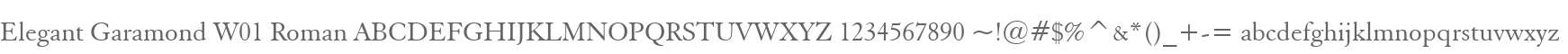 Elegant Garamond W01 Roman