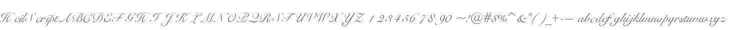 HeilScript