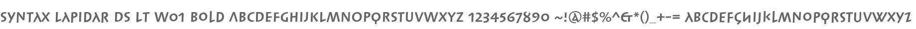 Syntax Lapidar DS LT W01 Bold