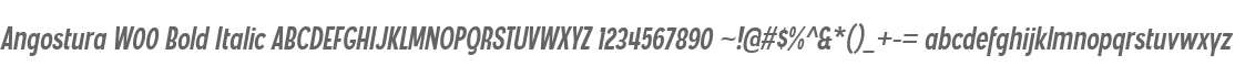 Angostura W00 Bold Italic