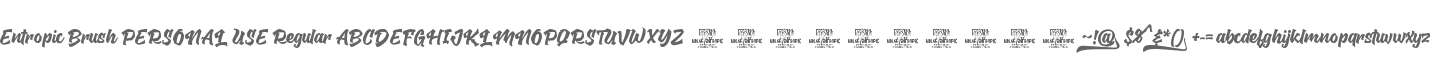 Entropic Brush PERSONAL USE