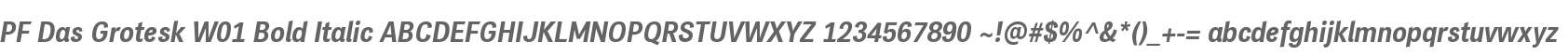 PF Das Grotesk W01 Bold Italic