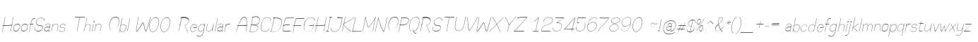 HoofSans Thin Obl W00 Regular