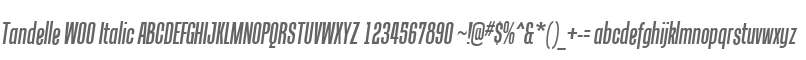 Tandelle W00 Italic