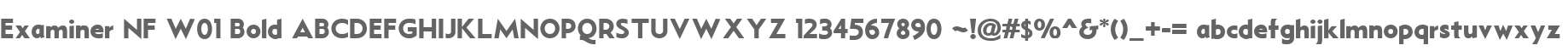 Examiner NF W01 Bold