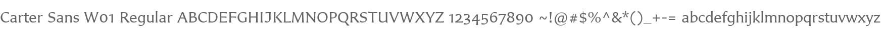 Carter Sans W01 Regular