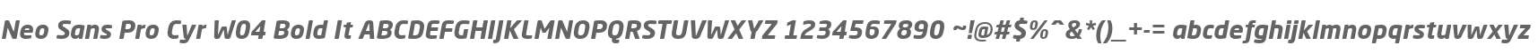 Neo Sans Pro Cyr W04 Bold It