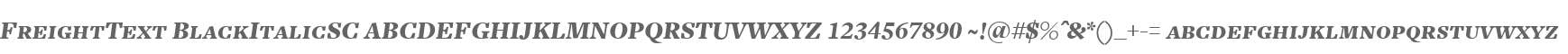 FreightText BlackItalicSC V2