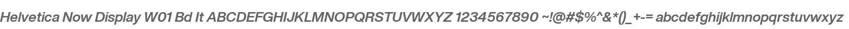 HelveticaNowDisplayW01-BdIt
