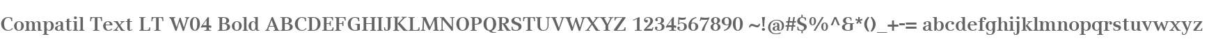 Compatil Text LT W04 Bold