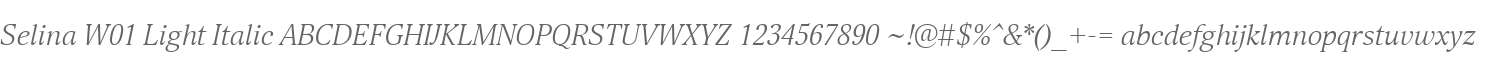 Selina W01 Light Italic