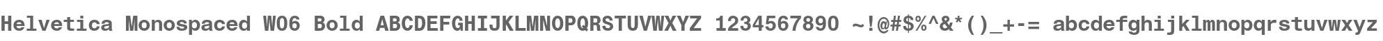 Helvetica Monospaced W06 Bold