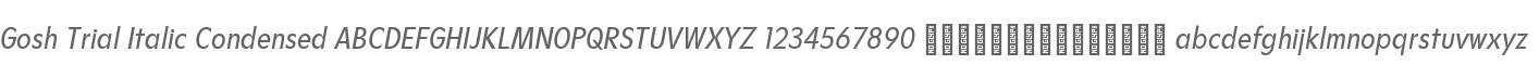 Gosh Trial Italic Condensed