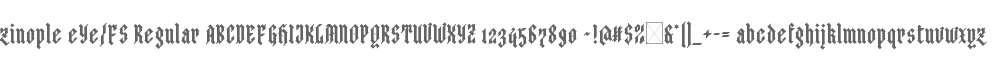 zinople eYe/FS Regular