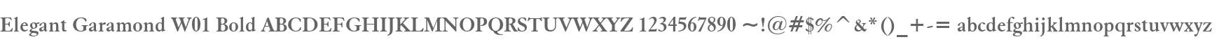 Elegant Garamond W01 Bold