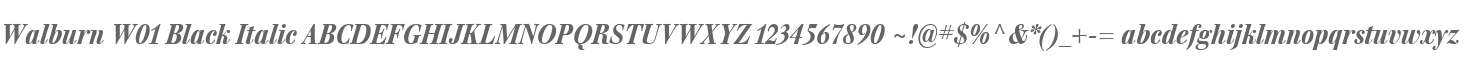 Walburn W01 Black Italic