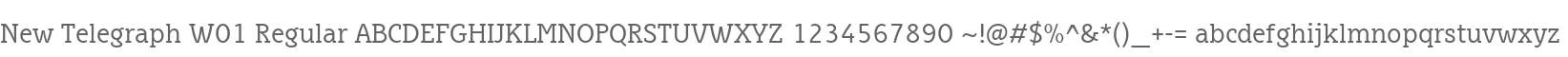 New Telegraph W01 Regular