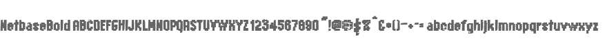NetbaseBold