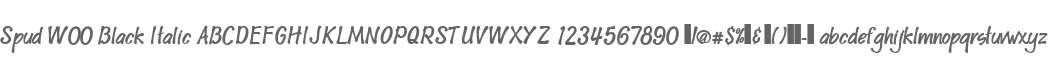 Spud W00 Black Italic
