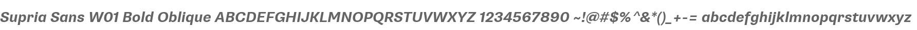 Supria Sans W01 Bold Oblique