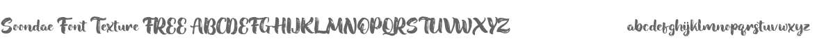 Soondae Font Texture FREE