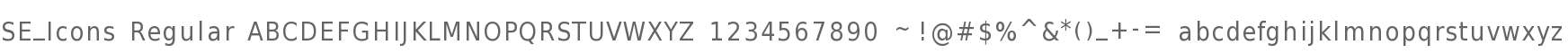SE_Icons Regular