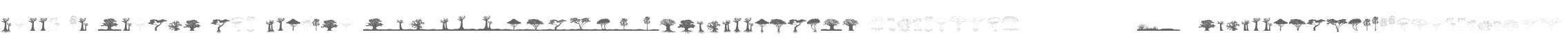 Trees of Africa W95 Regular