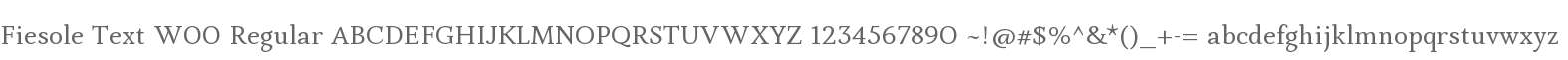 Fiesole Text W00 Regular