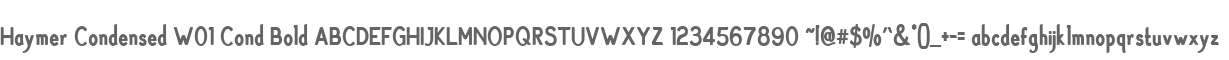 Haymer Condensed W01 Cond Bold