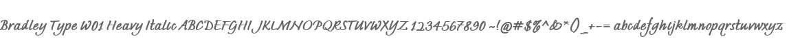Bradley Type W01 Heavy Italic