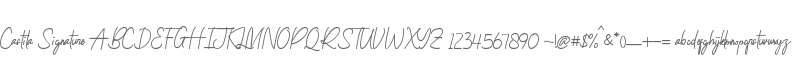 Castila Signature