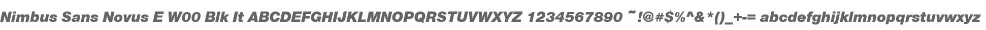 Nimbus Sans Novus E W00 Blk It