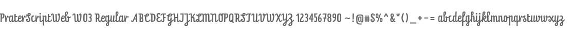 PraterScriptWeb W03 Regular