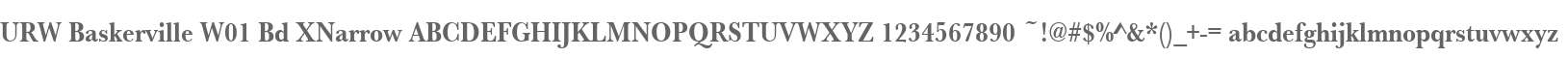 URW Baskerville W01 Bd XNarrow