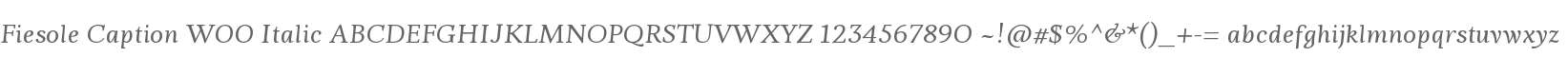 Fiesole Caption W00 Italic
