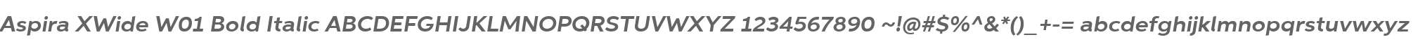 Aspira XWide W01 Bold Italic