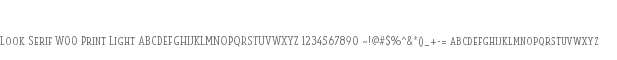 Look Serif W00 Print Light