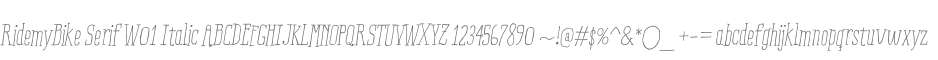 RidemyBike Serif W01 Italic