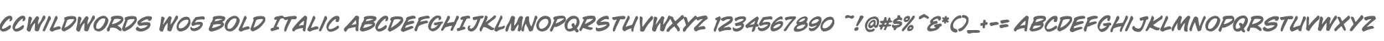 CCWildWords W05 Bold Italic