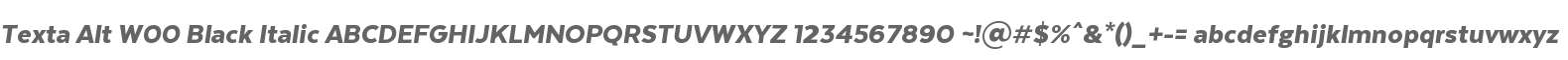Texta Alt W00 Black Italic