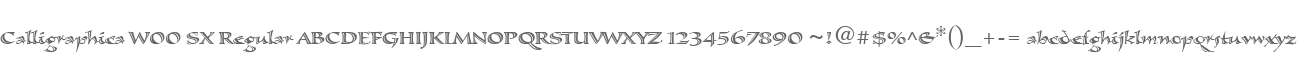Calligraphica W00 SX Regular