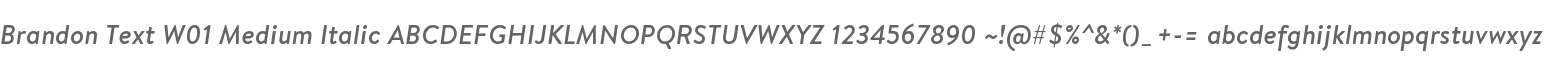 Brandon Text W01 Medium Italic