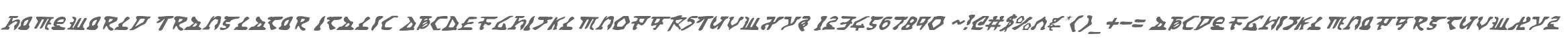 Homeworld Translator Italic