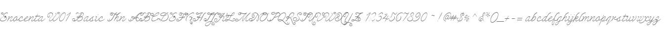 Enocenta W01 Basic Thn