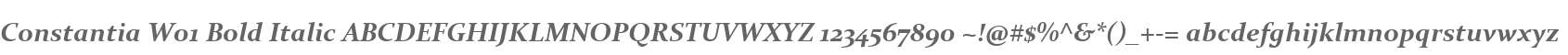 Constantia W01 Bold Italic