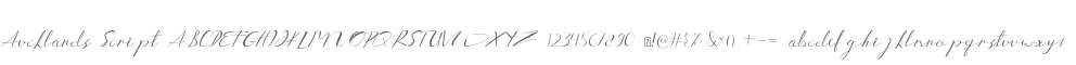 Aucklands Script