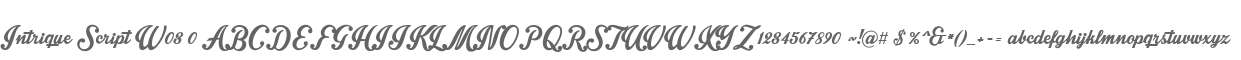 Intrique Script W03 0