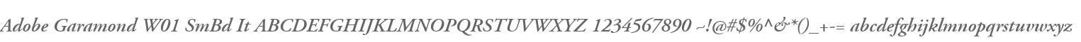 Adobe Garamond W01 SmBd It