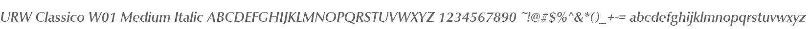 URW Classico W01 Medium Italic